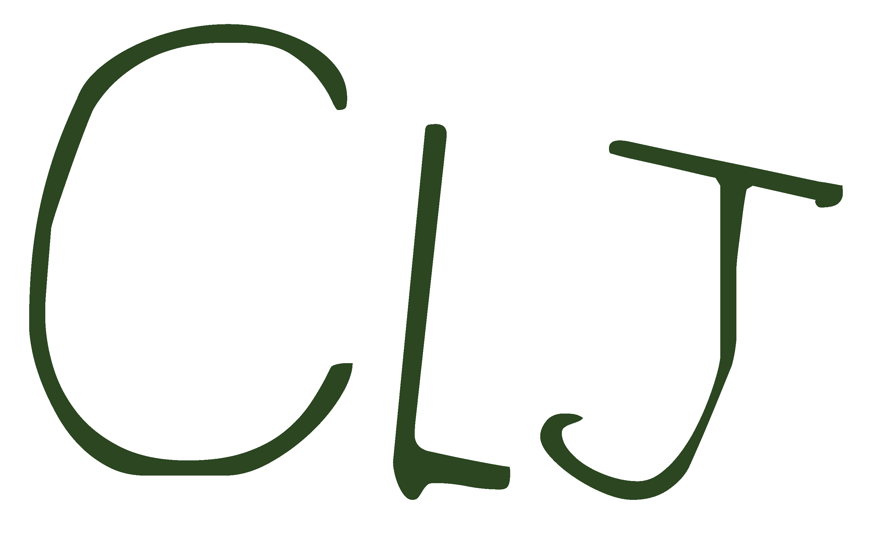 The Chelsea Life Jacket