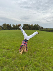 The Marlborough Jumper